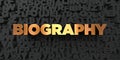 Biography - Gold text on black background - 3D rendered royalty free stock picture