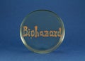 Biohazard word inscription by living bacteria on petri dish