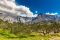 Biokovo Mountain And Trees-Makarska, Croatia Royalty Free Stock Photo