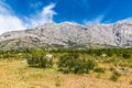 Biokovo Mountain And Trees-Makarska, Croatia Royalty Free Stock Photo