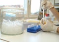 The biologic laboratory Royalty Free Stock Photo