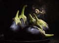 Biologic raw eggplants over black bowl