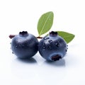 Biological Blueberry Extract For Weight Loss