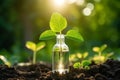 Biological chemistry experiment with green organic leaves in science laboratory for plant research Royalty Free Stock Photo