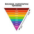 Biological classification taxonomy rank - relative level of a group of organisms a taxon in a taxonomic hierarchy, education