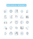 Biological research vector line icons set. Biology, Research, Biochemistry, Genetic, Microbiology, Organism, Cell