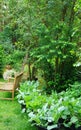 Biological vegetable garden or Kitchen garden. Organic green fresh food. with own grown vegetables and fruits. cosy little garden