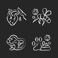 Biological waste chalk white icons set on black background Royalty Free Stock Photo