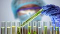 Biologist checking plant samples in test tubes, pesticides influence agriculture Royalty Free Stock Photo