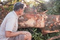 Biologist Environmentalist looking over the damage cause to an Avocado tree