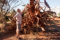 Biologist Environmentalist looking over the damage cause to an Avocado tree