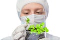 Biologist exploring a plant been grown in the laboratory