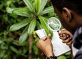 Biologist in a forest researching Royalty Free Stock Photo