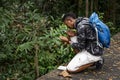 Biologist in a forest researching Royalty Free Stock Photo