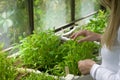 Biologist in greenhouse