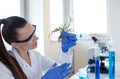 Biologist holding seedling above glass for test Royalty Free Stock Photo