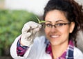 Biologist holding sprout with gloves