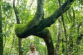 Biologist inspecting the crooked tree trunk of the Anigic Tree