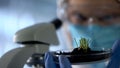 Biologist observing sprouts, using microscope to check growth, agro research Royalty Free Stock Photo