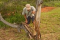 Biologist out in the savannas of Brazil, inspecting a tree