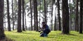 Biologist park ranger is identifying and recording species of the fallen pine cone in the evergreen conifer forest for native and