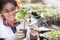 Biologist pouring chemicals in pot with sprout Royalty Free Stock Photo