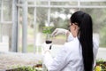 Biologist pouring liquid into flower pot with sprout Royalty Free Stock Photo