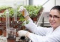 Biologist pouring liquid into flower pot with sprout Royalty Free Stock Photo