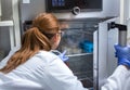 Biologist taking out samples from incubator Royalty Free Stock Photo