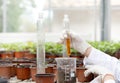 Biologist with test tube in greenhouse Royalty Free Stock Photo