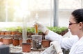 Biologist with test tube in greenhouse