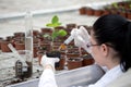 Biologist testing growth of sprout