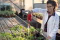 Biologist watering seedlings in greenhouse