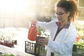 Biologist watering seedlings in greenhouse