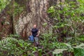 Biologist Woman Standing Next To A Kapok Tree Royalty Free Stock Photo