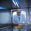 Biologist working with corn grains in laboratory Royalty Free Stock Photo