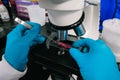 Biologist working in the laboratory microscope