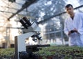 Biologist working with seedlings in background