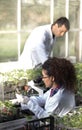 Biologists with seedlings in greenhouse Royalty Free Stock Photo