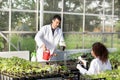 Biologists with seedlings in greenhouse Royalty Free Stock Photo