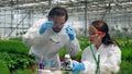 Biologists work in a greenhouse, using a microscope.