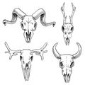 Biology Or Anatomy Illustration. Engraved Hand Drawn In Old Sketch And Vintage Style. Skull Or Skeleton Silhouette. Elk