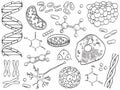 Biology and chemistry icons isolated Royalty Free Stock Photo