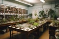 A biology classroom with a display of different specimens, such as plants, insects, and animals.