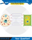 Biology, Education Chart of Biology for Animal and Plant Cell Diagram, next generation question template Royalty Free Stock Photo