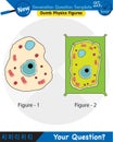 Biology, Education Chart of Biology for Animal and Plant Cell Diagram, next generation question template Royalty Free Stock Photo