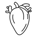 Biology human heart icon, outline style