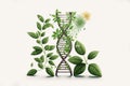 Biology laboratory nature and science DNA gene therapy. Plants with biochemistry structures on white backgrounds. Generative ai