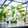 Biology laboratory, nature and science. Plant growth laboratory. DNA gene therapy. Generative AI Royalty Free Stock Photo