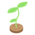 Biology plant icon, isometric style